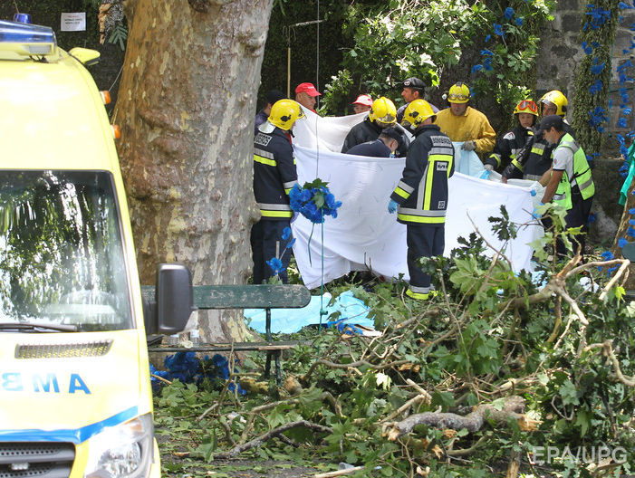 ﻿Величезне дерево впало на голови учасникам релігійного фестивалю в Португалії, 12 загиблих