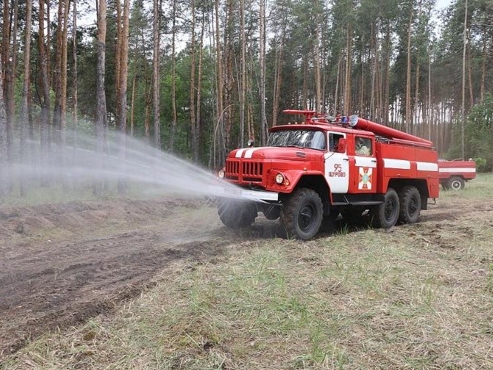 ﻿Кількість лісових пожеж в Україні зросла вдвічі – ДСНС
