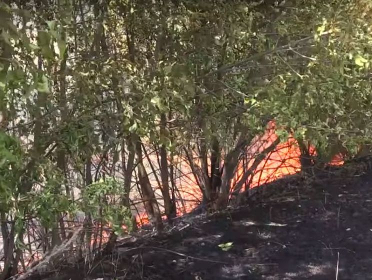 В ВСУ заявили, что боевики подожгли поля и лесополосы на линии разграничения в районе Луганского, несколько домов сгорели. Видео