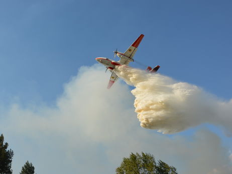 В Житомирской области горит лес на площади 60 га