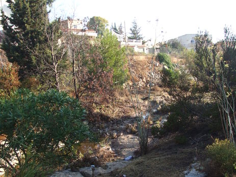 ﻿На Мальті жителі проти будівництва православної церкви Московського патріархату