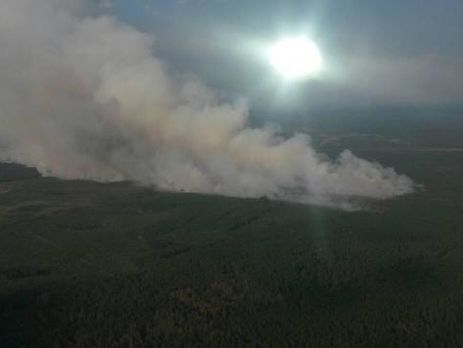В Житомирской области тушат пожар на территории заповедника. Фоторепортаж