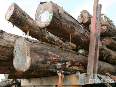 ﻿У Закарпатській області лісовоз з'їхав у прірву, загинуло дві людини