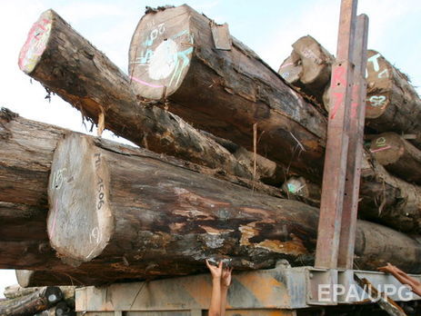 В Закарпатской области лесовоз съехал в пропасть, два человека погибли