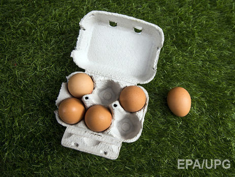 В Венгрии обнаружили яйца, зараженные инсектицидом фипронилом