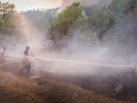 В МВД Грузии заявили, что пожар в Боржомском ущелье ликвидирован