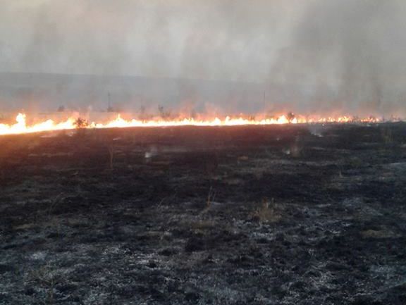 Марчук о пожарах вдоль линии разграничения: Сепары стреляют осветительными ракетами прямой наводкой по полям и населенным пунктам