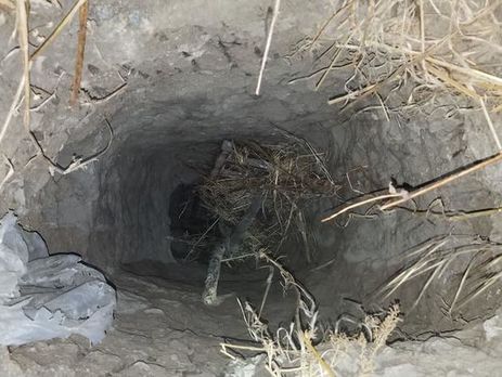 В США полиция задержала мигрантов, которые проникли в страну через тоннель