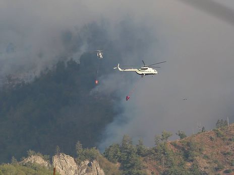 ﻿Україна скерує до Грузії літак для гасіння лісових пожеж