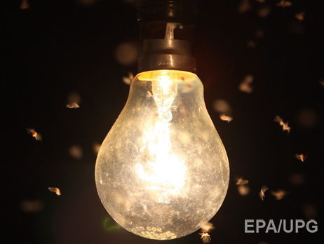 ﻿На заході України через негоду знеструмлено 167 населених пунктів – ДСНС