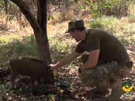 ﻿Після сюжету військового телебачення України російські ЗМІ заявили про появу 