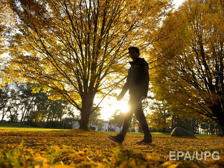 Антициклон принесет в Украину тепло до +30° – синоптики