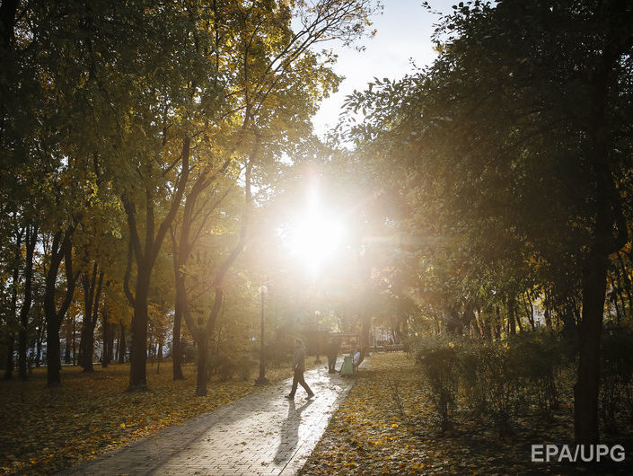 ﻿В Україні 9 вересня очікують теплої погоди без опадів – синоптики