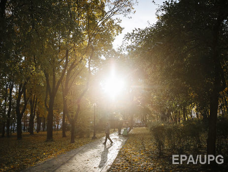 В Украине 9 сентября ожидается теплая погода без осадков – синоптики
