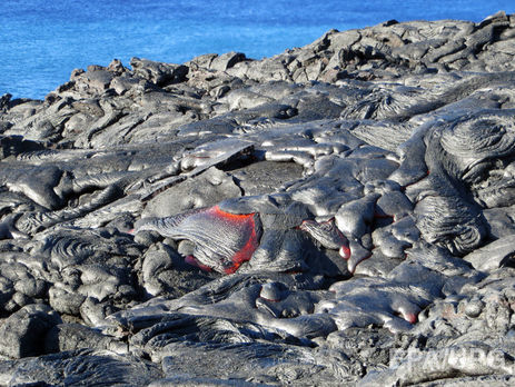 На Гавайях извергается один из самых активных вулканов в мире. Видео