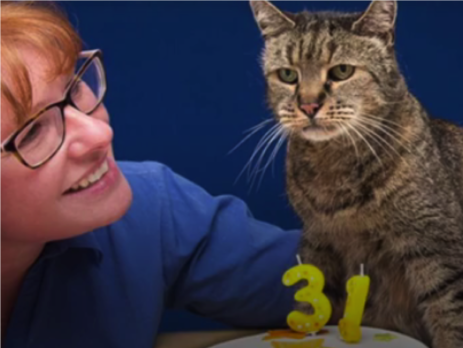 В Великобритании умер старейший кот в мире