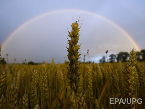 Украина увеличила экспорт товаров на 22% – Госстат