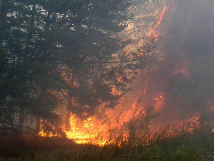 ﻿У Полтавській області гасять дві лісові пожежі загальною площею 8 га
