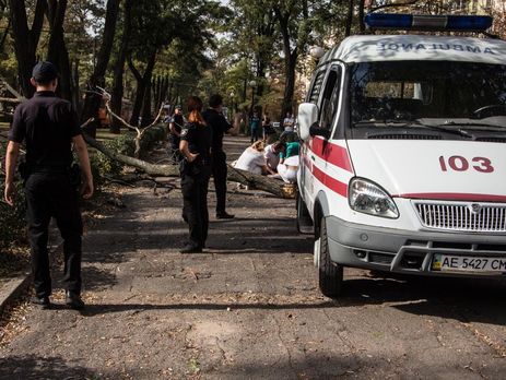 ﻿У центрі Дніпра гілка, що впала, вбила дівчину