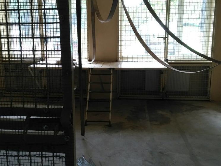 ﻿У Харківській області мавпи відірвали співробітнику зоопарку пальці і вухо – поліція