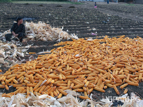 Сегодня вступают в силу торговые преференции Евросоюза для украинской сельхозпродукции