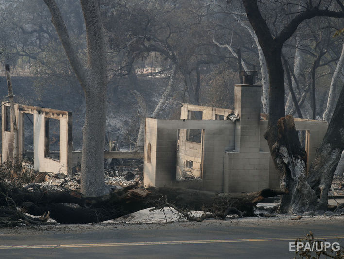 ﻿Кількість жертв лісових пожеж у Каліфорнії зросла до 35 осіб