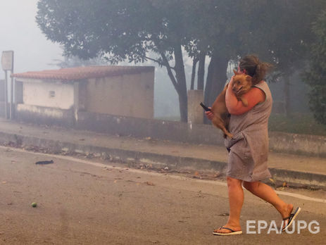 Из-за лесных пожаров в Португалии и Испании погибли более 30 человек. Фоторепортаж