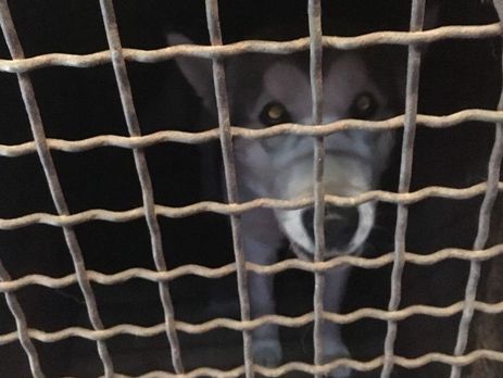 Через блокпост 