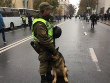 У здания Верховной Рады проходит митинг. Трансляция