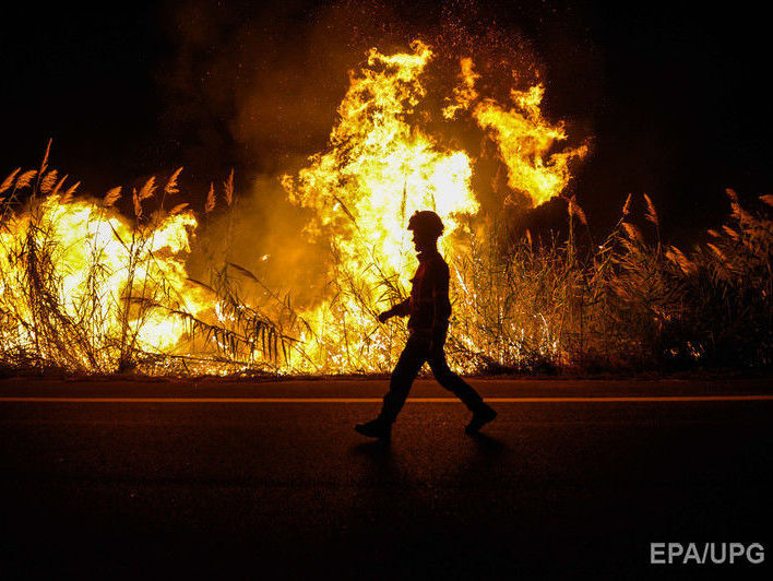 ﻿Лісові пожежі у Португалії та Іспанії: кількість загиблих зросла до 38 осіб