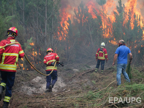Лесные пожары в Португалии: число погибших возросло до 41 человека