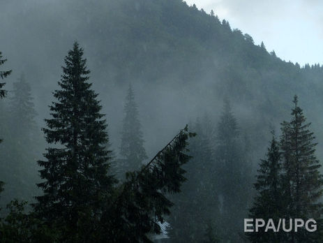 ﻿ДСНС попередила про сильні зливи 23 жовтня в Карпатському регіоні 