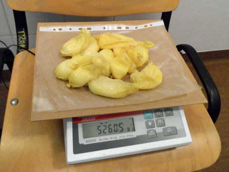 В Польше задержали двух украинцев с почти 2 кг кокаина в желудках