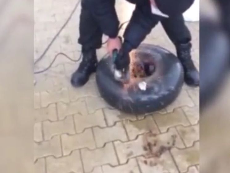 ﻿Українець намагався вивезти до Польщі 22 кг бурштину в газовому балоні