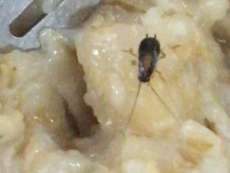 В Харьковском университете Воздушных сил, в столовой которого нашли тараканов и червей, заявили, что никаких жалоб не поступало