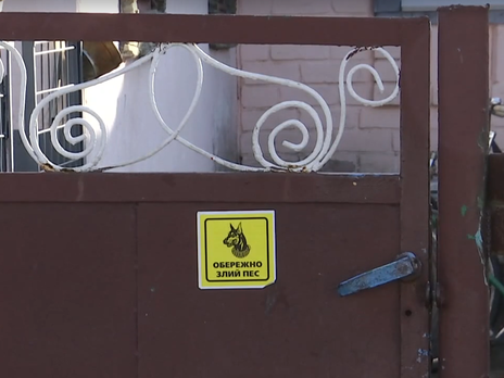 В Днепропетровской области собаки насмерть загрызли прохожую. Видео