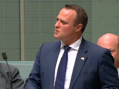 ﻿Австралійський депутат зробив пропозицію своєму партнеру під час парламентських дебатів. Відео