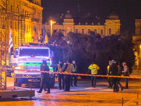 ﻿Головна ялинка країни вночі прибула до Києва