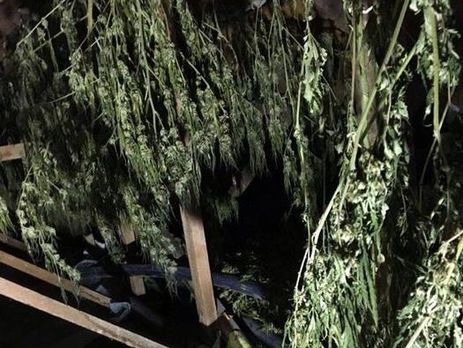 В Черкасской области СБУ задержала группировку наркоторговцев, также занимавшихся угоном автомобилей и грабежами