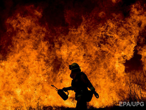 Из-за лесных пожаров в Калифорнии эвакуировали 90 тыс. человек