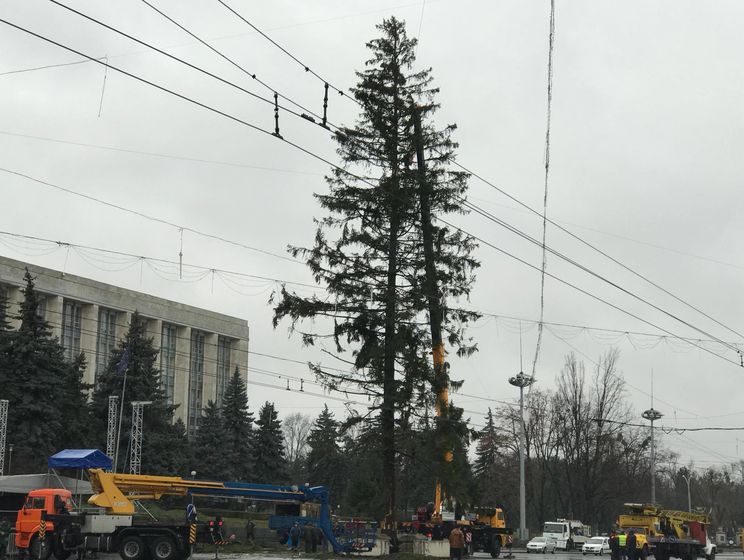 Молдова потребовала вернуть деньги за облезлую елку из Украины