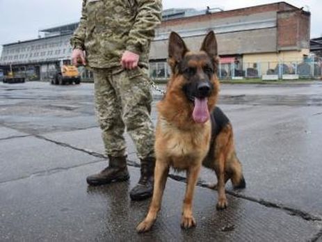 Прикордонники затримали 
