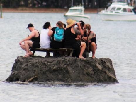 Жители Новой Зеландии создали остров, чтобы обойти запрет на употребление алкоголя на пляже