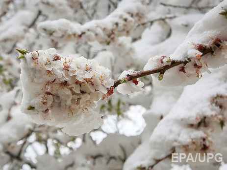 Директор Укргідрометцентру: Через потепління Україна збирає хороші врожаї останніми роками, інколи навіть рекордні