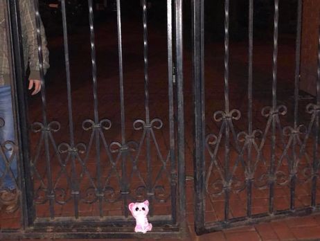 Нардеп Арьев: Присоединяюсь к акции #принеси_куклу как напоминанию священникам УПЦ МП о грехе их гордыни