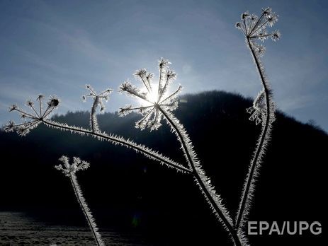 В Украину пришел антициклон Адам