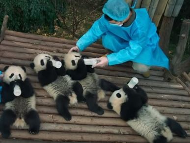 Вышел трейлер фильма 