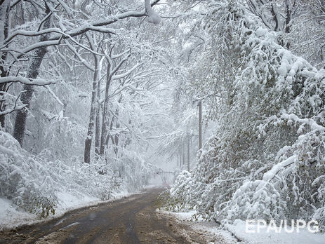 Сильные снегопады и метели: ГСЧС предупредила об активном циклоне в Украине 17–18 января