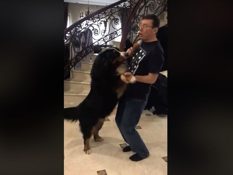 Дружина генпрокурора Луценка опублікувала запис танцю із собакою. Відео