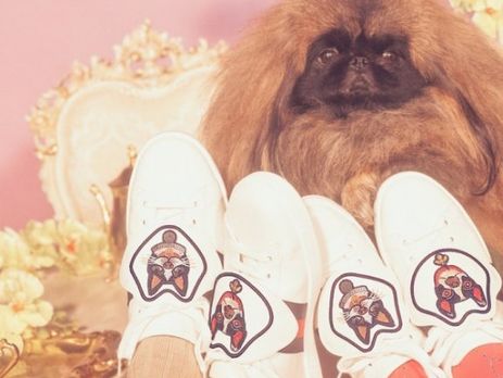 Gucci присвятив колекцію собакам